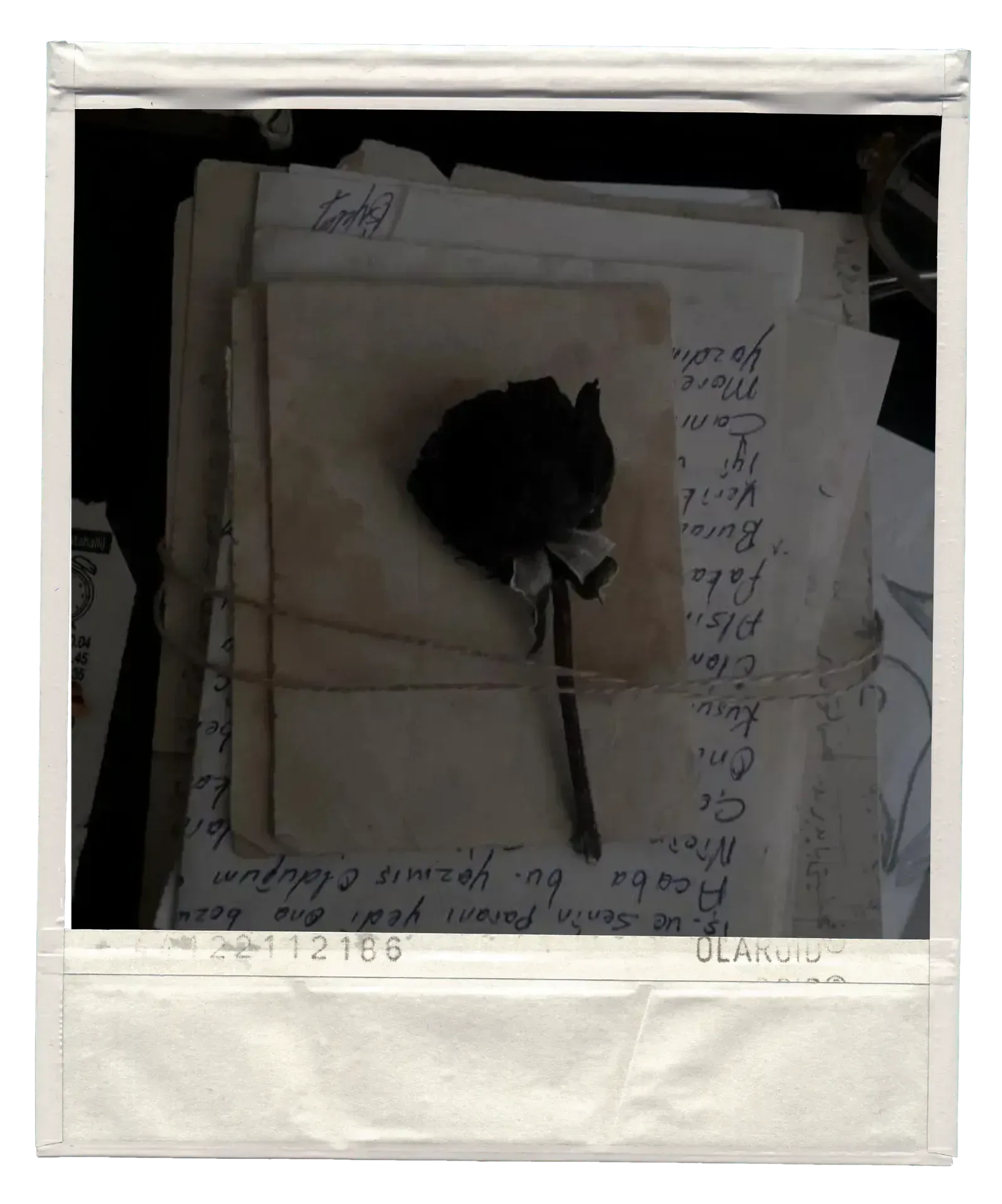 Polaroid 2